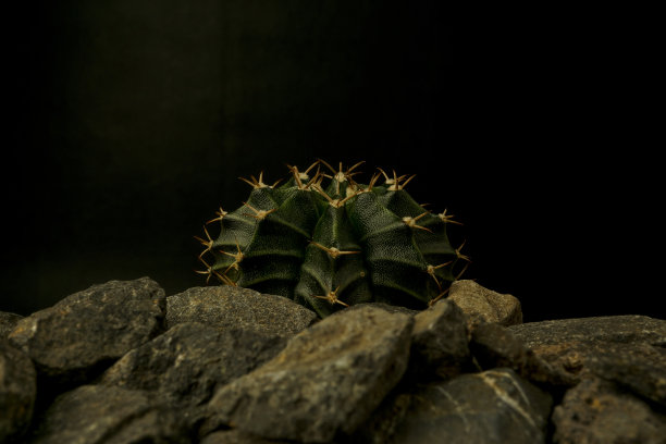 spiked