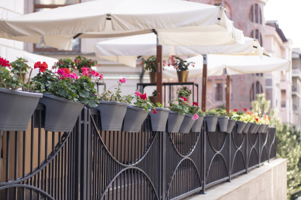 lucca