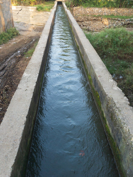 河道绿化工程