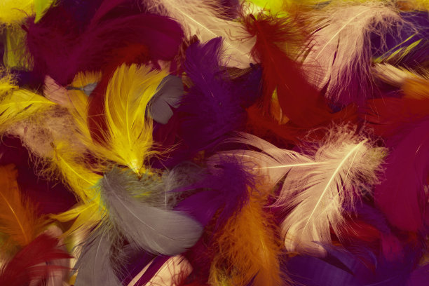 preen
