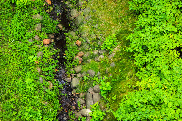 ditch