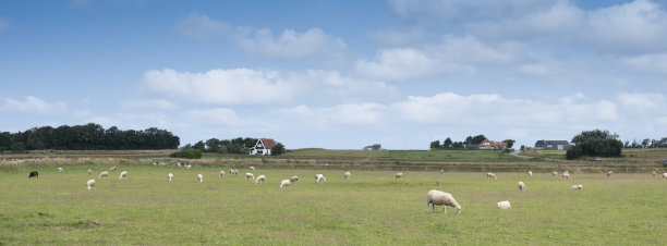 _texel