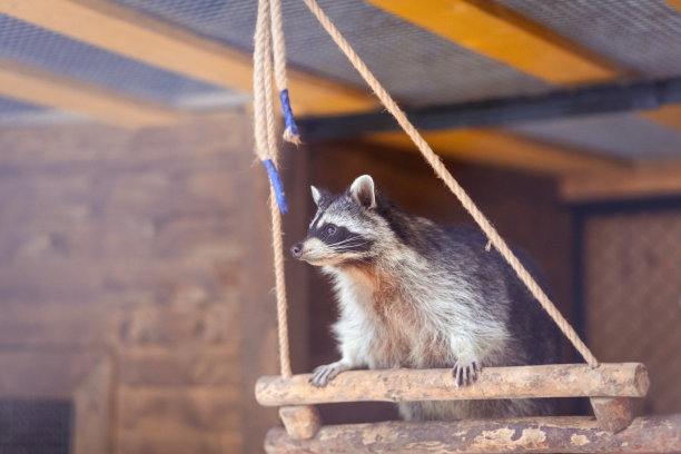 captivity