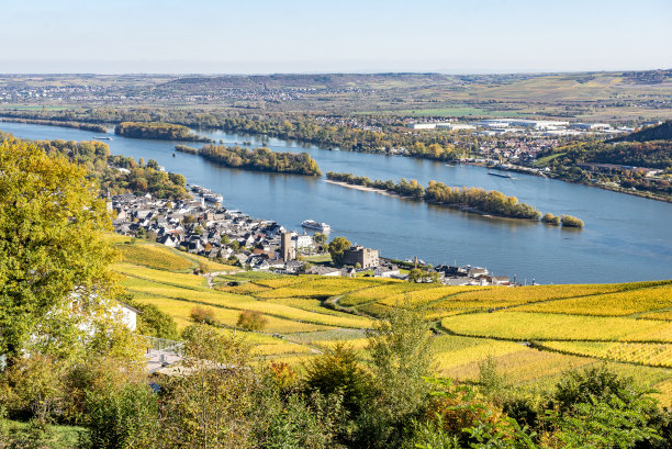 rudesheim
