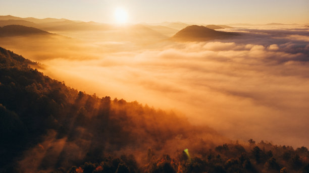 sunbeams