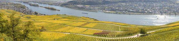 rudesheim