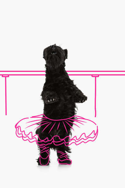 芭蕾舞狗