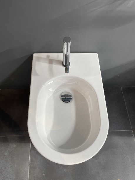 bidet