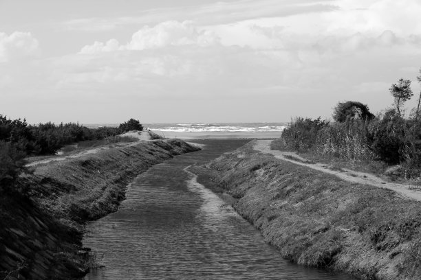 viareggio