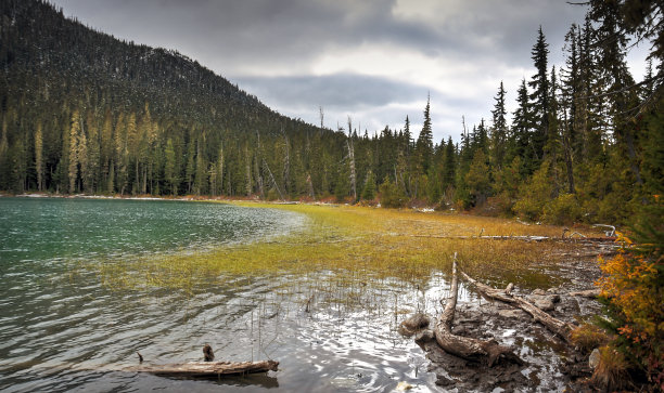 pemberton