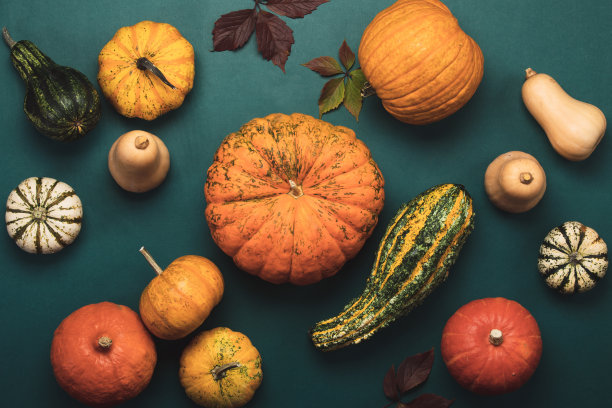 pumpkin