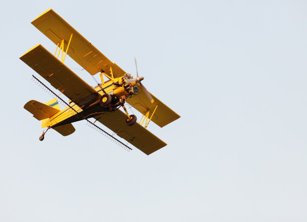 biplanes