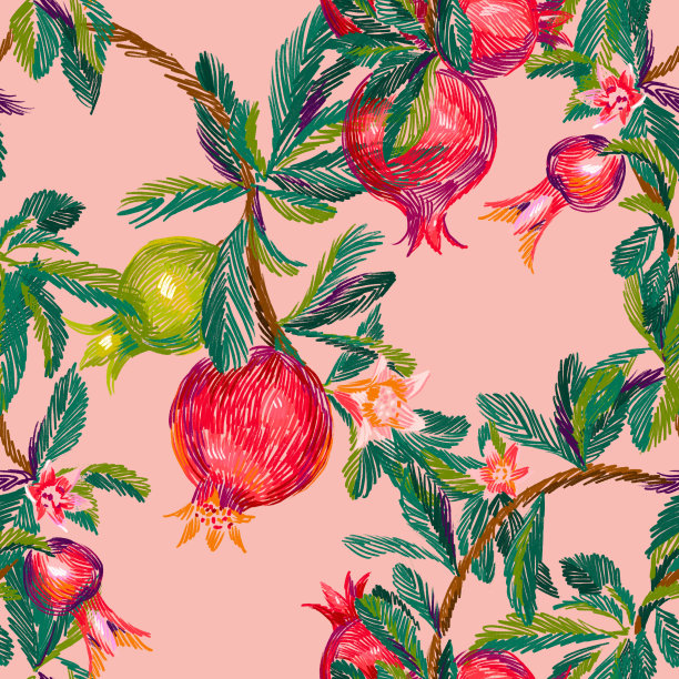 石榴插画