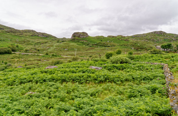 sutherland