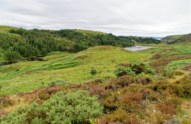 sutherland