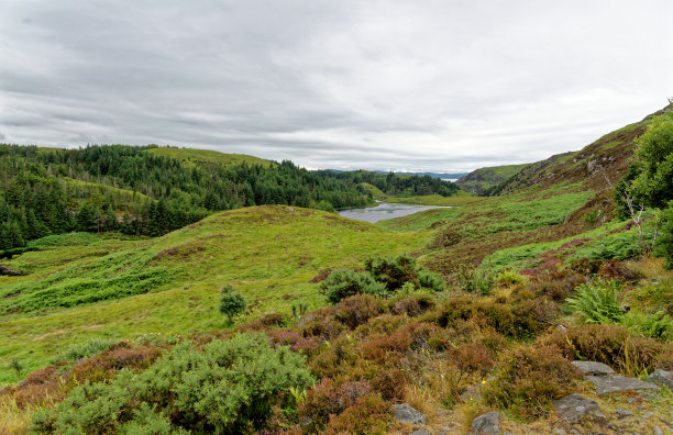 sutherland