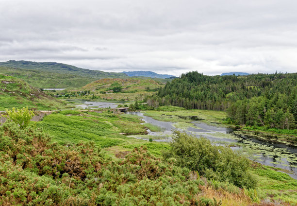 sutherland