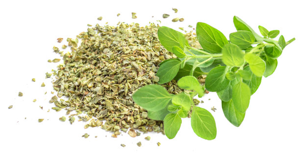 oregano