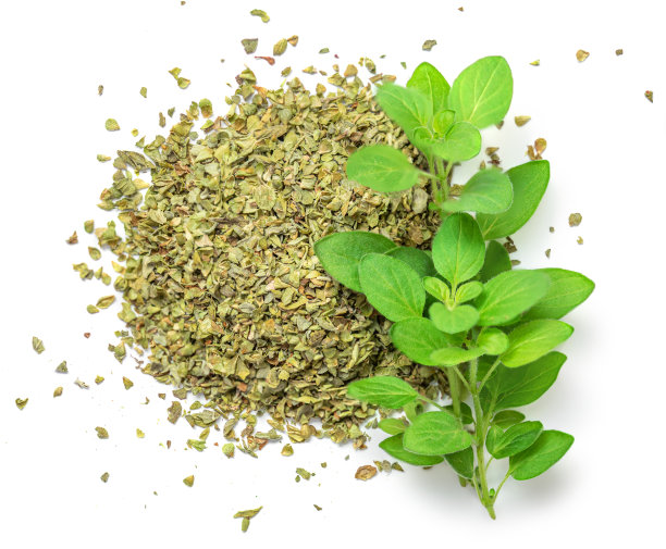 oregano