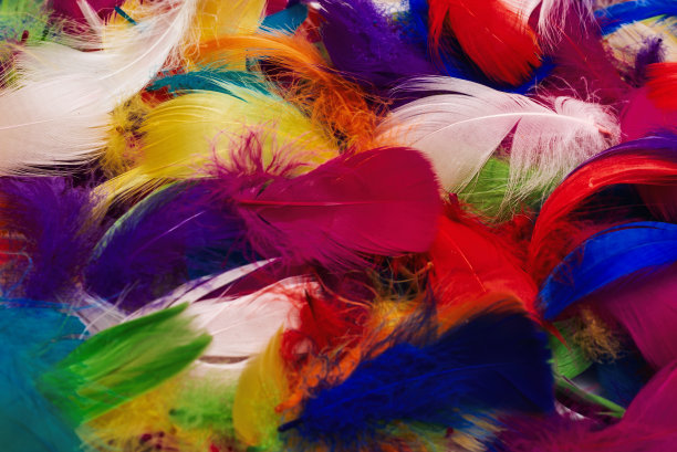 preen