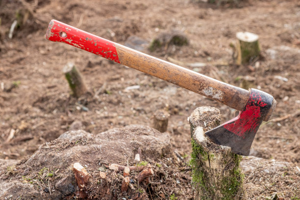 axe