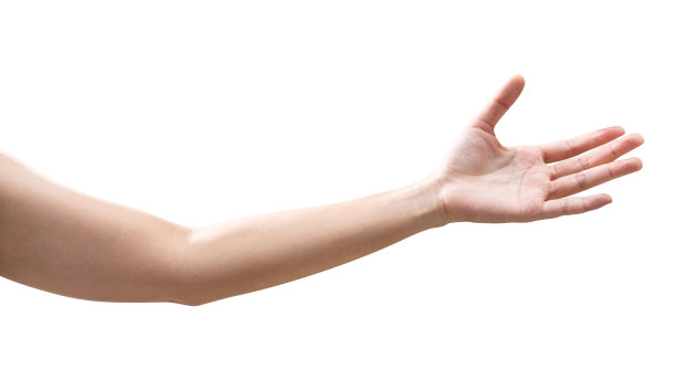 arms