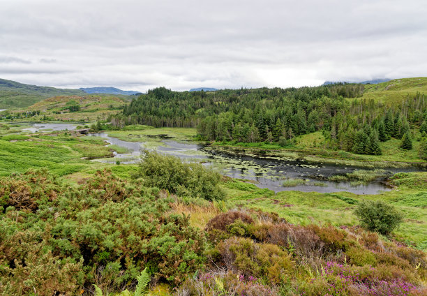 sutherland