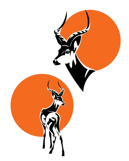 antelope
