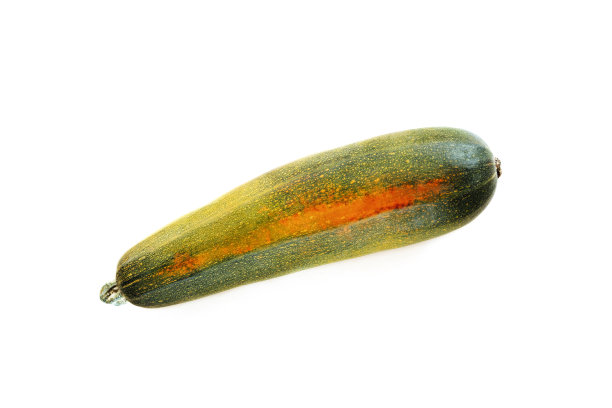 courgette