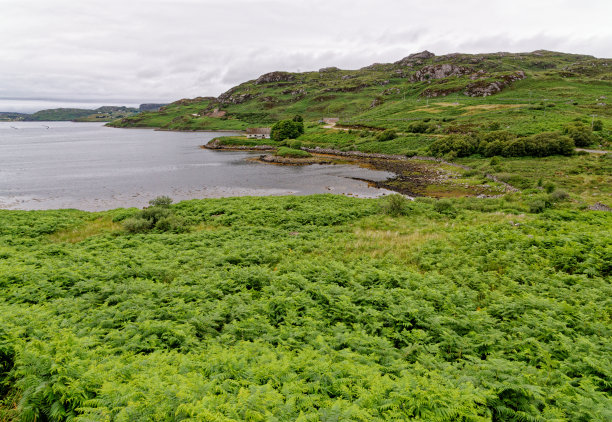 sutherland