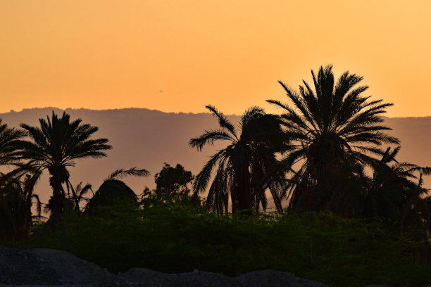 椰树海岸 美丽风景画