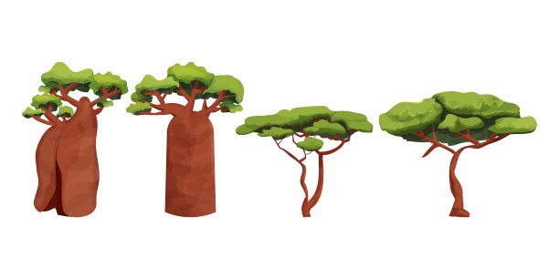 baobab