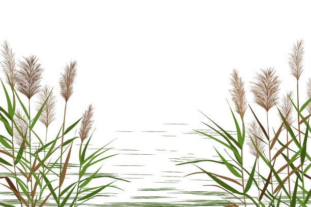 reed