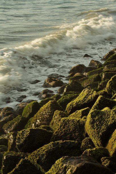 tide