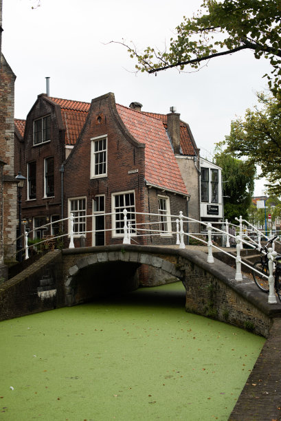 绿色荷兰风景名胜艺术