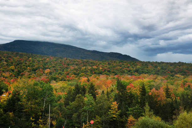 vt