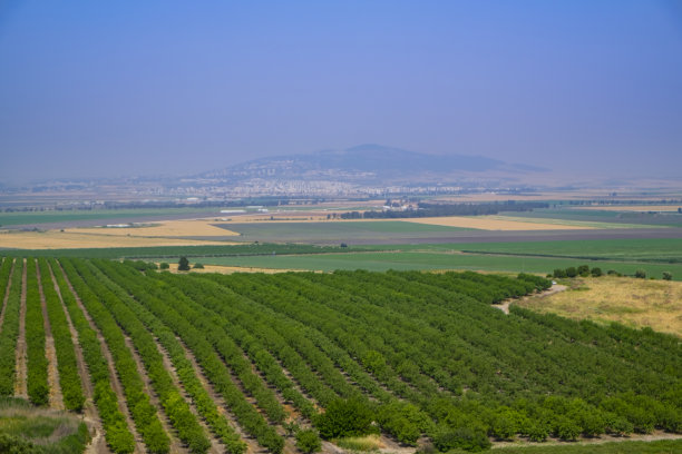 druze