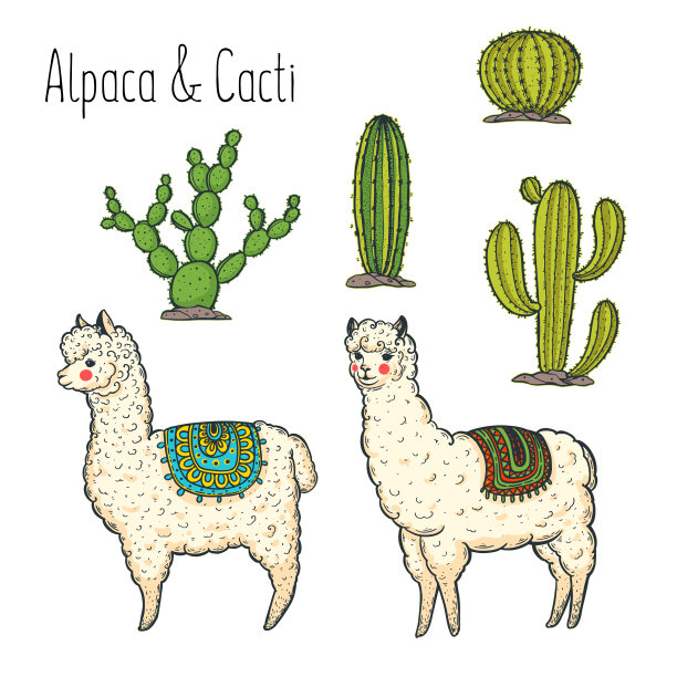 alpaca