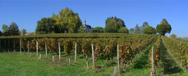 bordeaux