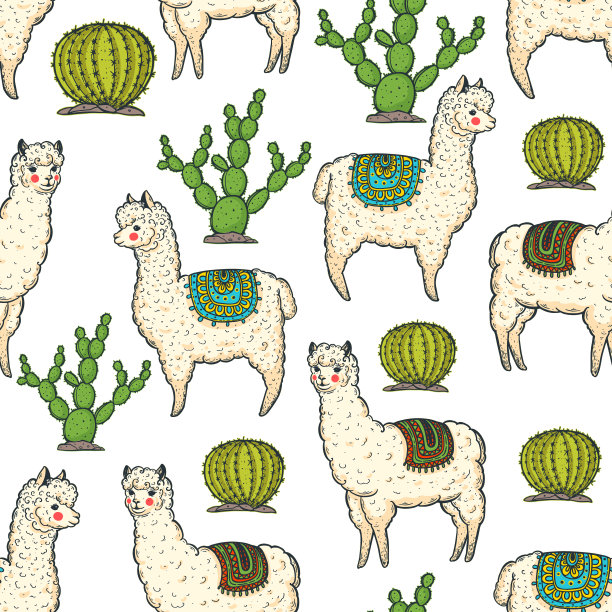 alpaca