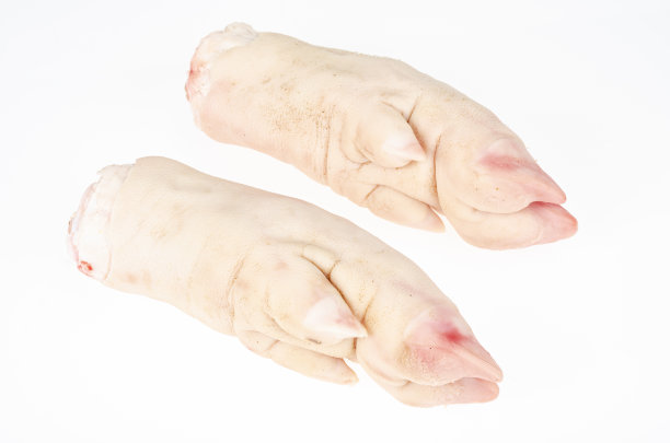 trotter