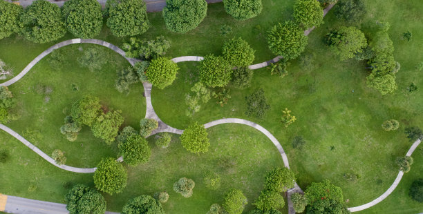aerial