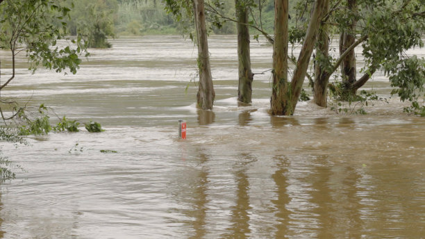 flood