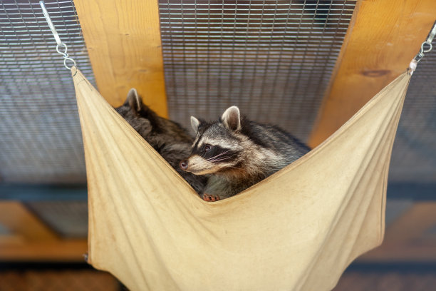 captivity