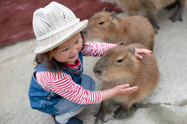 capybara