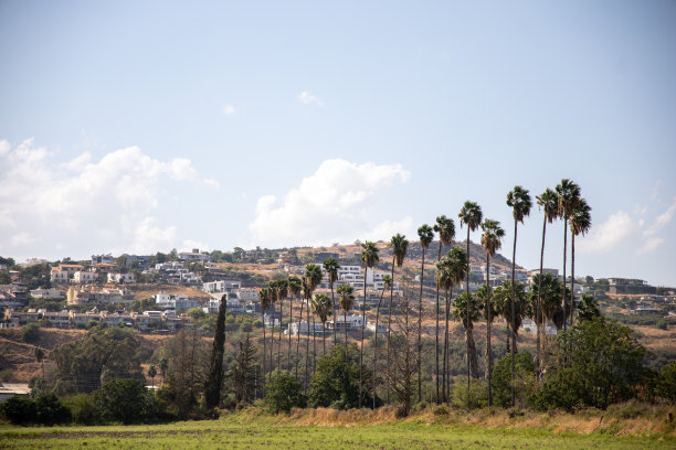 druze