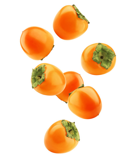 掉柿