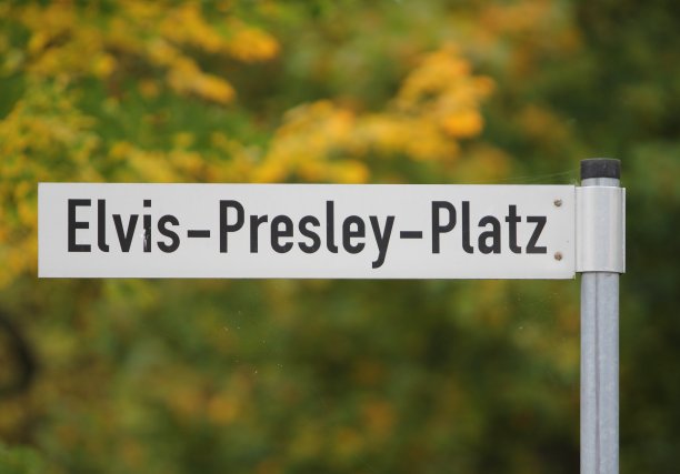 elvis