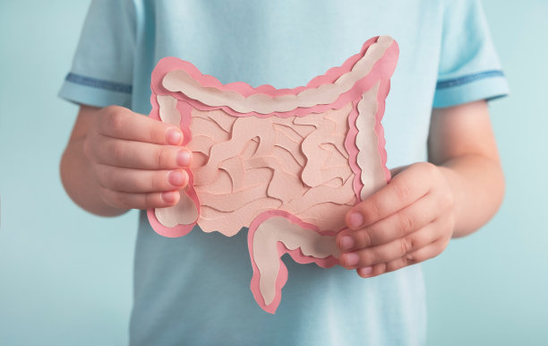digestion