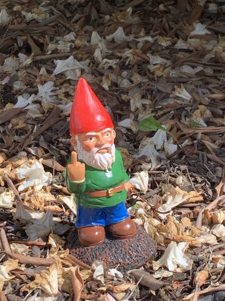 gnome
